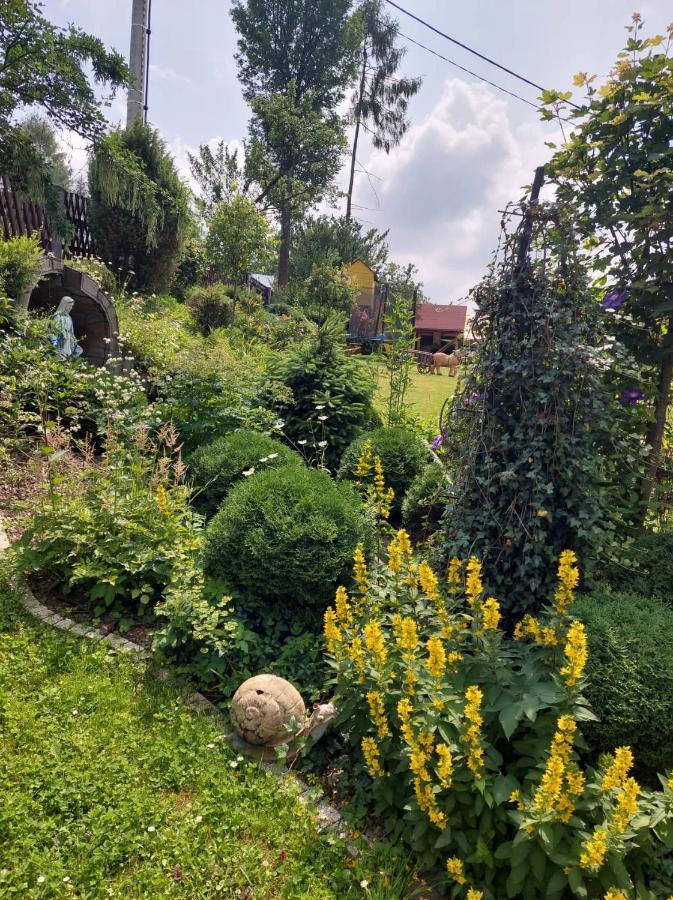 Noclegi U Ilony Czarna Góra Extérieur photo